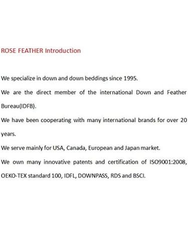 ROSE FEATHER Bulk Goose Down Feather Stuffing & Fill Hypoallergenic Pillow  Filling Repair Restuff Fluff for