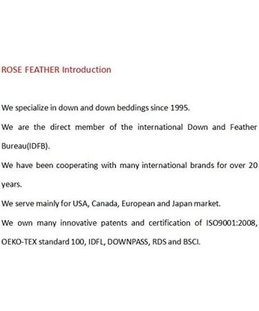 ROSE FEATHER Bulk Goose Down 4lb - Hypoallergenic Pillow Filling for Repair & Restuff - Ideal for Couch Cushions, Comforters, Jackets - Premium White Goose Down Stuffing 5/95 Ratio - 1800g DIY Fill - Buy Online on GoSupps.com