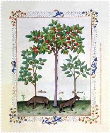 Glasses cleaning cloth "Hazelnut bush and cherry tree" Rannenberg and Friends