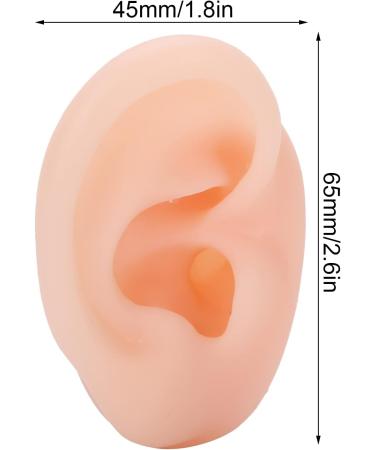 Silicone Human Ear Model for Hearing Aid Demonstration - Shop Window Display - Buy Online on GoSupps.com