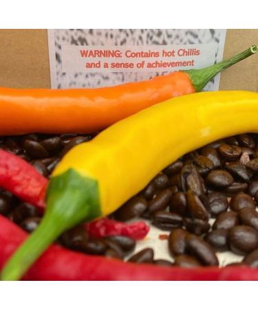 Adaptogenic Mushroom Coffee Made With Chaga Hot Chilli and Cacao -Burning Issues- (Inonotus Obliquus). 150g Bag- The Lincolnshire Mushroom Co. - Buy Online on GoSupps.com