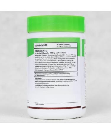 Plant Based Biotin for Hair Repair Regeneration & Growth (Pack of 1 (60 Capsules)) - Buy Online on GoSupps.com