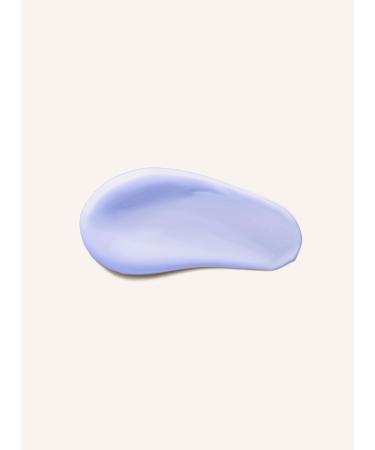 Rausch Sage Silver-Gloss Flushing - Vegan 200ml | Counteracts Yellow Tinge for Blondes | Silicone & Paraben-Free - Buy Online on GoSupps.com