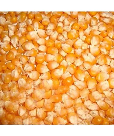 Organic Cholam/Corn - 2kg (Pack of 02) - Buy Online on GoSupps.com