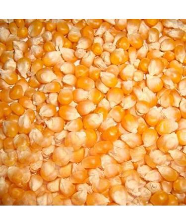Organic Cholam/Corn - 2kg (Pack of 02)