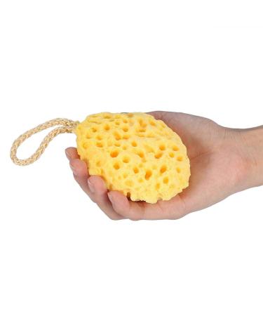 Buy Asixx Hydrophilic Polyurethane Shower Sponge | Soft & Heat Resistant Bathing Sponge in 3 Colors - Easy to Wash & Dry - Buy Online on GoSupps.com
