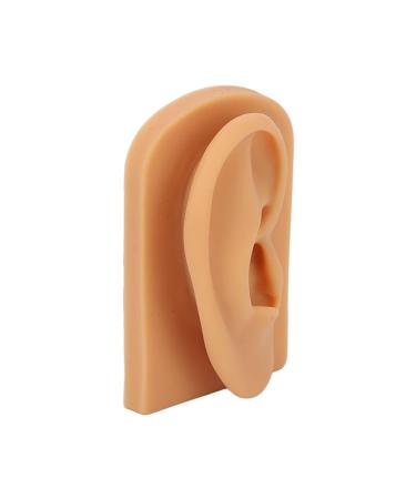 Soft Silicone Ear Model for Piercing Practice and Jewelry Display - Buy Online on GoSupps.com
