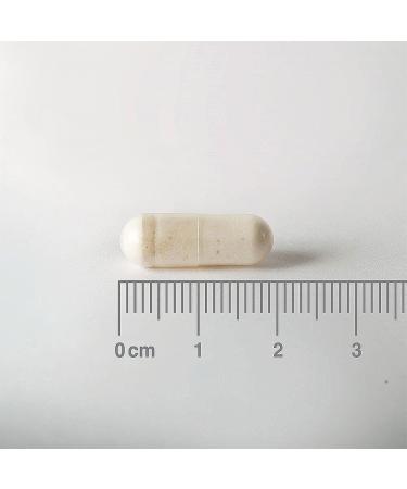 Lamberts Biome Balance Everyday Ultra capsules 30 25 billion live bacteria Intestinal support with Lactobacillus & Bifidobacterium Delayed release - Buy Online on GoSupps.com