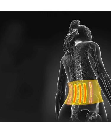 Swagyu Lordosis Support 3PC Pad - Magnetic Turmaline Heating Waist & Back Support Belt for Men | Posture Corrector & Fitness Tool - Buy Online on GoSupps.com