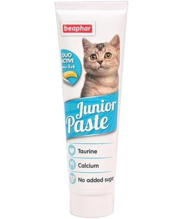 Junior paste cat 100 g