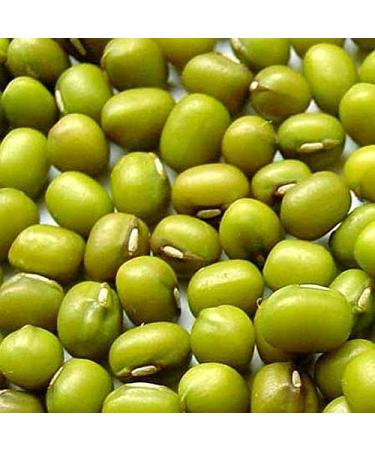 Germinazione dei semi: 2 Borse di Fagioli Mung - 12 OZ bis crescere i germogli Cibo cinese Bean nutrious