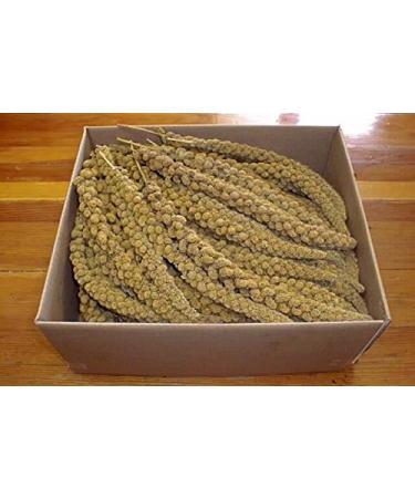 Ralph Moore & Sons SPMILA5-8/10 Spray Millet Bulk 8-10 inch 5 Lb Box
