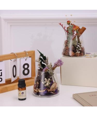 Creative Dry Flower Aromatherapy DIY Reed Diffuser Set | Handcrafted Osmanthus Essential Oils for Home Decor & Wellness - Buy Online on GoSupps.com