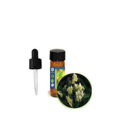 Mimosa Absolute Essential Oil (Acacia Mearnsii) - Pure & Natural Uncut Undiluted - Therapeutic Cosmetic Aromatherapy Perfumery - 3.7ml (1/8 oz)