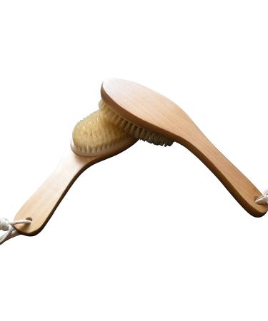 Kingsley Natural Bristle Body Brush with Contoured Wooden Handle - 2 Pack | Exfoliating Tool Set - Buy Online on GoSupps.com
