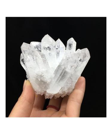 Balance Natural Beautiful White Crystal Cluster Quartz Raw Ore Home Decor Crafts Ornaments Specimens Lucky Stone Crystal Home Goods (Size : 800-1000g)