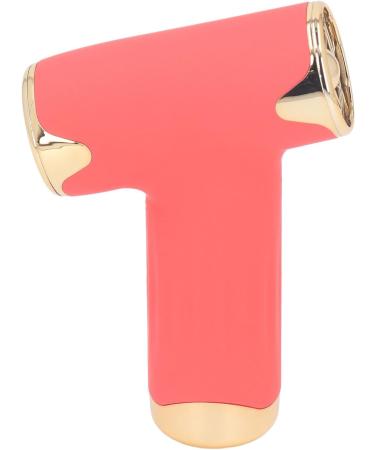 Hair Dryer Mini Dust Blower Easy To Carry 4 Levels Wind for Home for Outdoor for Cats Dogs (Red) - Buy Online on GoSupps.com