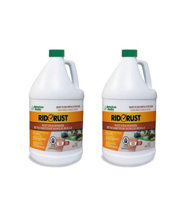 American Hydro Systems 2662 Rid O' Rust Liquid Rust Stain Remover, 1 Gallon, 2 Pack 1 gallon/2 Pack