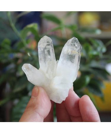 Natural White Cluster Electroplating Titanium Coating Quartz Cluster StoneCan be Used for (Size : 80g) ningxiao (Size : 100g) - Buy Online on GoSupps.com