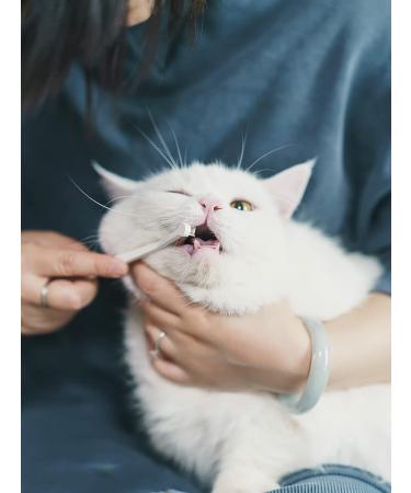 Mind Up Toothbrush Micro Head for Cats - Made in Japan by Nyanko Care - Buy Online on GoSupps.com