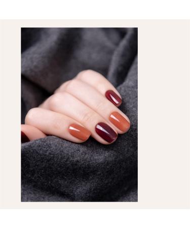 Pinni Gel Nail Polish 2er Set - Black Tea & Coffee Brown Semi-Permanent UV/LED Manicure | Perfect Nail Art Gifts for Women - 5ml Each - Buy Online on GoSupps.com