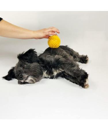 Igelball 6er Set Versatile Massage Balls for Feet Neck & Back | Self-Massage Therapy in Various Sizes - Buy Online on GoSupps.com