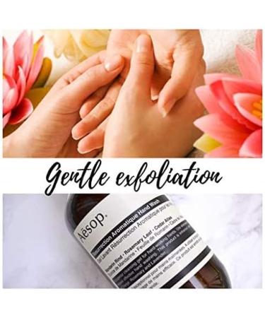 Aesop Reverence and Resurrection Aromatique Handwash Duo Set - 500ml, Essential Botanical Extracts, Bergamot Mandarin Rind, Gentle Exfoliating Gel for Refreshed Skin - Buy Online on GoSupps.com
