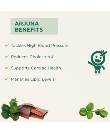 24 Karat Namo Organics - Organic Arjun ki Chaal Powder - 500 Gm - Terminalia Arjuna - Double Filtered 100% Arjun Bark Fine Powder - Buy Online on GoSupps.com