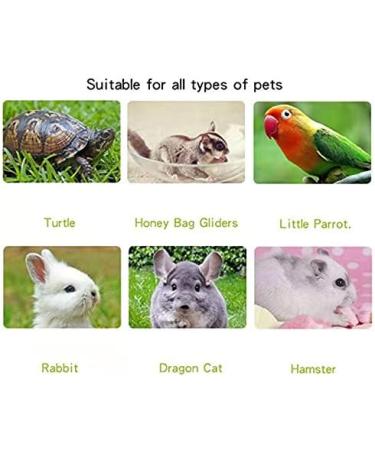 25W 2-Pack Ceramic Heat Lamp Bulb Infrared Reptile Heat Emitter Heater Lamps Bulbs for Pet Brooder Coop Chicken Lizard Bearded Dragon Turtle Snake Aquarium - No Light Emitted No Harm (25W-2PACK) - Buy Online on GoSupps.com