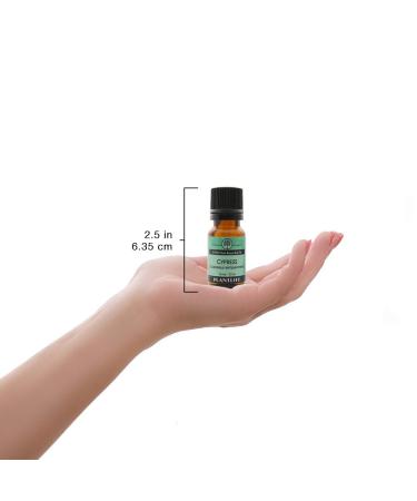 Cypress 100% Pure Essential Oil - 10 ml | Natural Aromatherapy for Relaxation and Wellness - Buy Online on GoSupps.com
