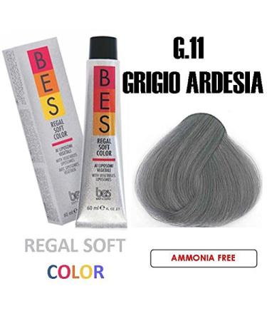 BES REGAL SOFT HAIR COLOR 2.1 OZ/60 ML G.11 SLATE GREY