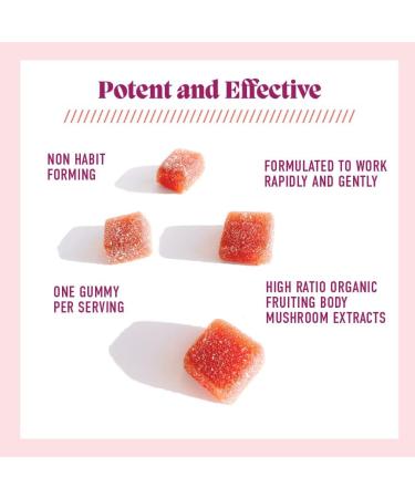 Microjoy Elevate Mood Support Relaxation & Stress Relief Gummies with L-Theanine Lion s Mane 5-HTP & B6 Vegan Non-GMO 30ct Strawberry 30 Count (Pack of 1) - Buy Online on GoSupps.com