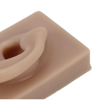 Flexible Brown Right Ear Model for Earrings Display and Acupuncture Training - Buy Online on GoSupps.com