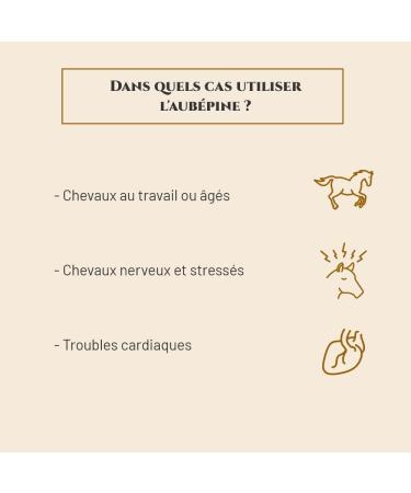 PRINCE EQUIN - AUB PINE - Horse nutritional supplement - 1kg bucket - Supports circulation - Heart comfort - Horse relaxation - French brand - Buy Online on GoSupps.com