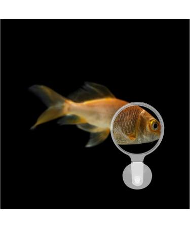 POPETPOP Aquarium Magnifier Acrylic Fish Tank Viewer Fish Tank Magnifying Glass Small Animal Magnifier with Suction 3.5cm - Buy Online on GoSupps.com