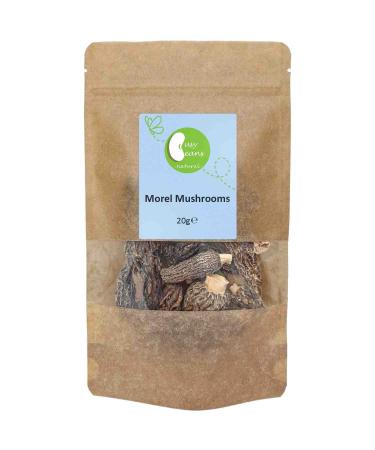 Dried Whole Morel Mushrooms by Busy Beans (20g)
