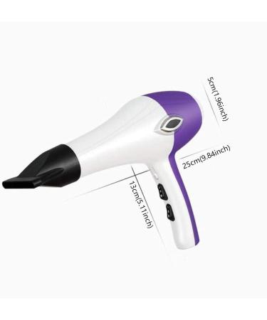 2200 Watt Powerful Professional Ionic Hair Dryer with 2-Speed and 3 Temperature Settings Cool Shot Function AC Motor Salon Fast Blow Dryers with Nozzle for Home and Salon Men and Women Purple Small - Buy Online on GoSupps.com