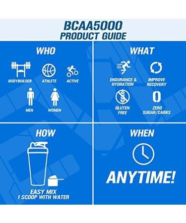 Evlution EVL BCAAs Amino Acids Powder - BCAA Powder Post Workout Recovery Drink and Stim Free Pre Workout Energy - 5g Branched Chain Amino Acids Supplement for Men - Cherry Limeade 30 Servings Cherry Limeade - Buy Online on GoSupps.com