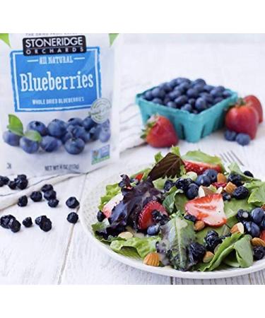 Reduced Sugar Whole Dried Blueberries - Stoneridge Orchards 4 oz (113 g) | Healthy Snack - Buy Online on GoSupps.com