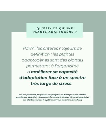 INOLAB Ashwagandha KSM-66 Organic 5% & Rhodiola Organic - Vegan Synergic Complex of Ayurvedic Adaptogenic Plant Extract - Made in France - Buy Online on GoSupps.com