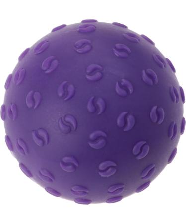 Fomiyes 3ST Stability Ball - Premium Exercise & Yoga Ball for Fitness & Massage | International Shipping - Buy Online on GoSupps.com