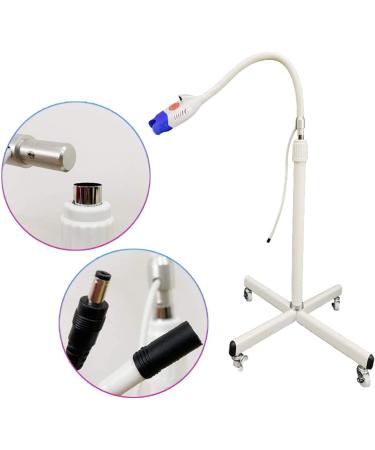 Pevor Dental Teeth Whitening Light: 10 LED Lamp Whitener & Accelerator - Buy Online on GoSupps.com