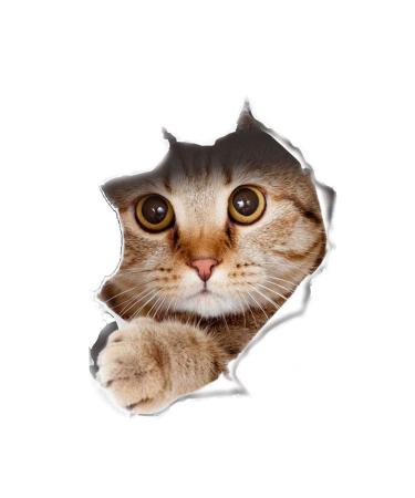 U-M 1 Sheet Funny Cat Dog 3D Wall Sticker Hole View Living Room Wall Decal Toilet Seat Cover Lid Sticker Mural Art Poster Background Bathroom Bedroom Cat as shown