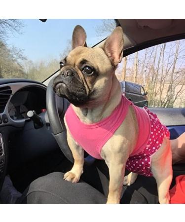 Glenndarcy Dog Diapers without Tail Hole - Ideal for French Bulldogs - Medium Size - Includes 2 Washable Pads - Dotty Pink - Buy Online on GoSupps.com
