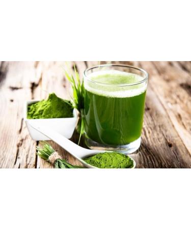 Carefood - Organic Spirulina Powder - 100% Organic Superfood Suitable for Vegans - Natural Super Food with High Nutrient Content and Satietogenic Effect - 200g - Buy Online on GoSupps.com