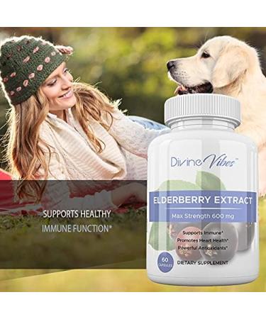 Divine Vibes Black Elderberry Capsules Max Strength | 60 Count | Super Concentrated Sambucus Extract | Non-GMO Gluten Free - Buy Online on GoSupps.com