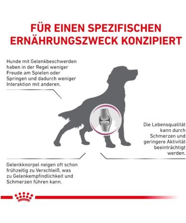 Royal Canin Veterinary Mobility Support | 2 kg | Complete Food for Adult Dogs | May Support Joint Health | Moderate Calorie Content | with Green-lipped Mussel - Buy Online on GoSupps.com