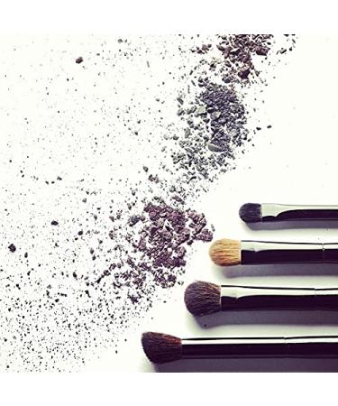 Buy High-Quality Primary Brush for Painting - International Shipping Available - Buy Online on GoSupps.com