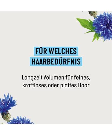 Guhl Long-term volume shampoo - Content: 250 ml - Volume and abundance for fine hair - Buy Online on GoSupps.com