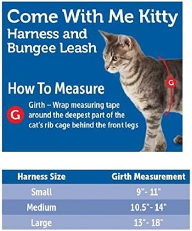 Buy PetSafe Come with Me Kitty Harness & Bungee Leash for Cats - Small Red/Cranberry | International Shipping Available - Buy Online on GoSupps.com